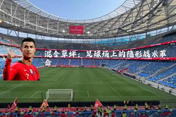 混合草坪:足球场上的隐形战术革命
